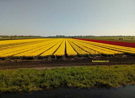 FUNinHOORN ©