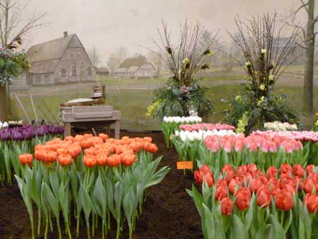 FUNinHOORN Toeristisch Informatie Punt ©2018 Westfriese Flora